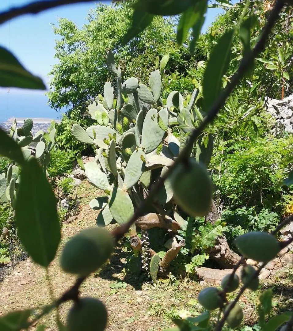 Guest house Villa Alessandra Experience Cinisi Italy